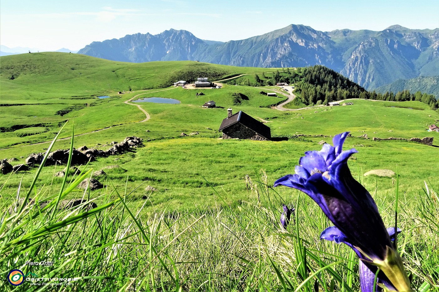 11 Vista sui Piani dell'Avaro con genziana di Clusius.JPG